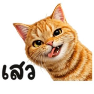 (50C) ส้ม ใช้ทุกวัน