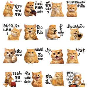 Alternative view of (50C) ส้ม ใช้ทุกวัน