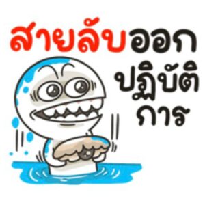 [50C] เส้นหนา7