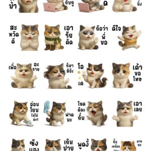 Alternative view of [50C] แมวเป้า น่ารัก