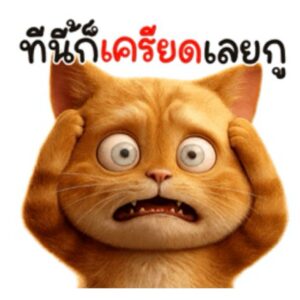 [50C] มิ้วส้มส้ม