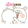 [85C] หมีนุ่มกับต่ายนิ่ม รักกันบางวัน