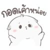 [50C] อ้วนกลม หมาน้อยแสนซน