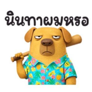 [50C] มะหมา มึนมึน