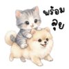 [50C] แมวเหมียวน่ารัก 100%