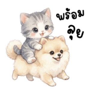 [50C] แมวเหมียวน่ารัก 100%