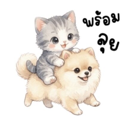 [50C] แมวเหมียวน่ารัก 100%
